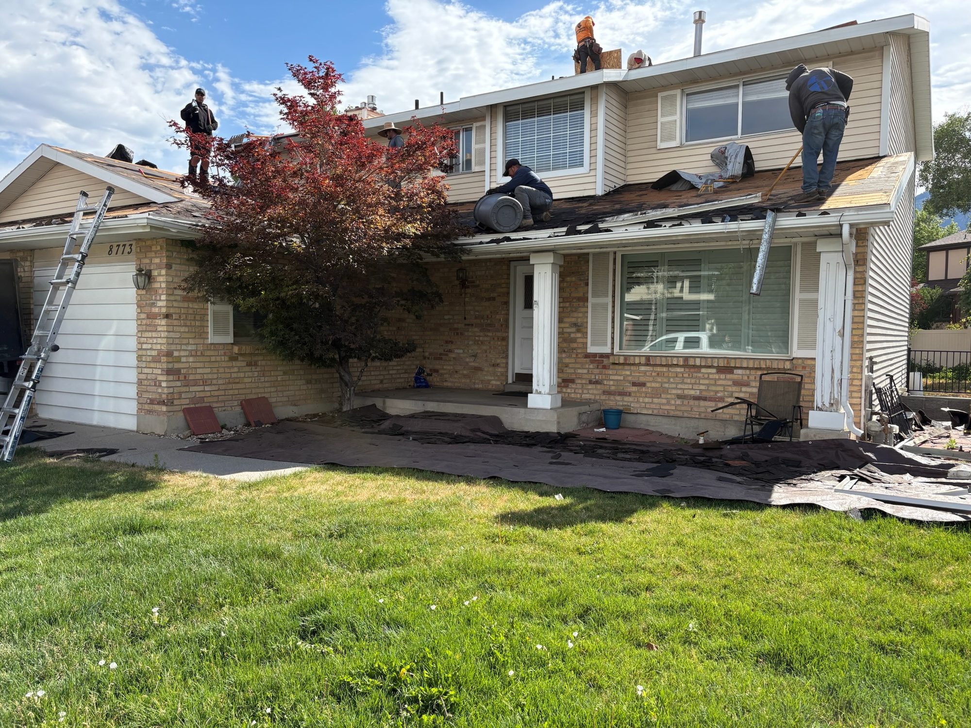 Tear-off in progress
