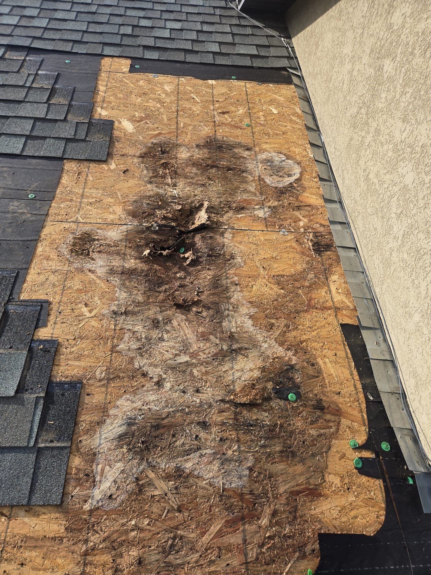 Rotten decking found under an old roof